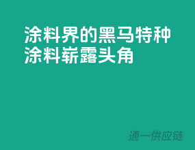 涂料界的黑马，特种涂料崭露头角！