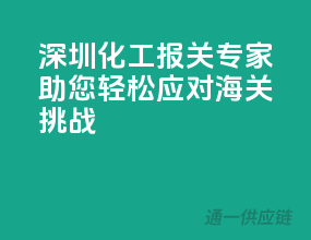 深圳化工报关专家，助您轻松应对海关挑战