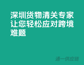 深圳货物清关专家，让您轻松应对跨境难题