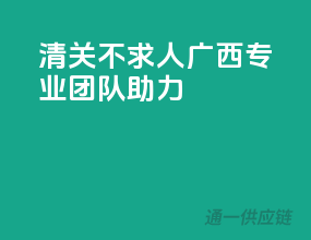 清关不求人，广西专业团队助力