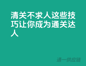 清关不求人，这些技巧让你成为通关达人！