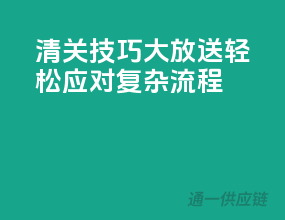 清关技巧大放送，轻松应对复杂流程