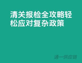 清关报检全攻略，轻松应对复杂政策