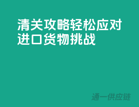 清关攻略，轻松应对进口货物挑战
