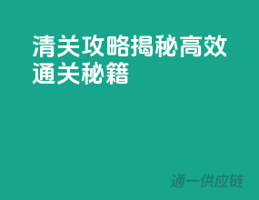 清关攻略：揭秘高效通关秘籍