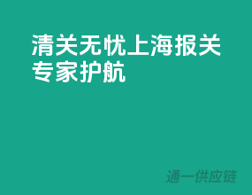 清关无忧，上海报关专家护航