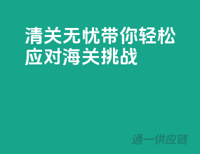清关无忧，带你轻松应对海关挑战