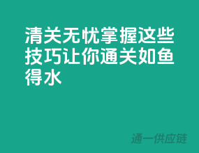 清关无忧，掌握这些技巧让你通关如鱼得水