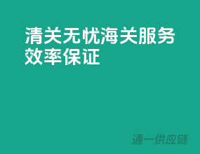 清关无忧，海关服务，效率保证