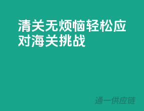 清关无烦恼，轻松应对海关挑战！
