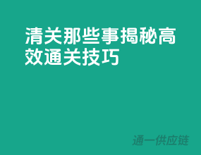 清关那些事：揭秘高效通关技巧