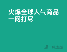 火爆全球，人气商品一网打尽