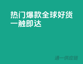 热门爆款，全球好货一触即达