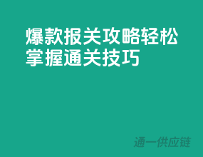 爆款报关攻略，轻松掌握通关技巧