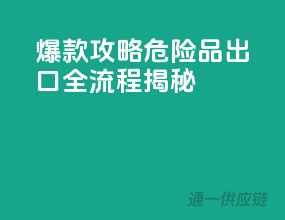 爆款攻略：危险品出口全流程揭秘