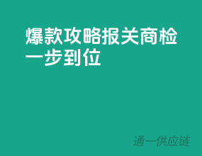 爆款攻略：报关商检一步到位