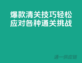 爆款清关技巧，轻松应对各种通关挑战