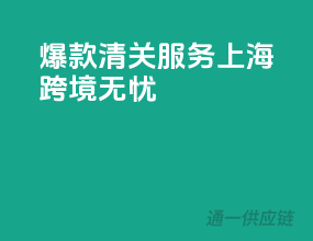 爆款清关服务，上海跨境无忧
