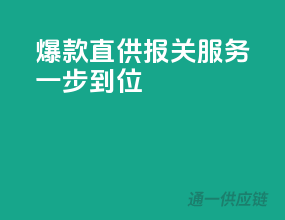 爆款直供，报关服务一步到位
