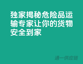 独家揭秘：危险品运输专家，让你的货物安全到家