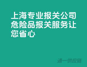 上海专业报关公司，危险品报关服务让您省心