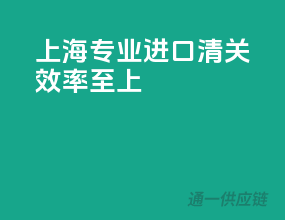 上海专业进口清关，效率至上