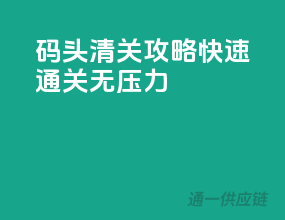 码头清关攻略：快速通关无压力