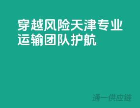 穿越风险，天津专业运输团队护航