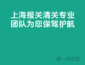 上海包裹清关，专业团队为您保驾护航
