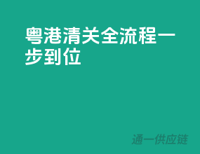 粤港清关全流程，一步到位
