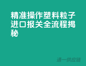 精准操作！塑料粒子进口报关全流程揭秘