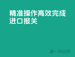 精准操作，高效完成进口报关