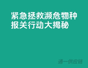 紧急拯救！濒危物种报关行动大揭秘