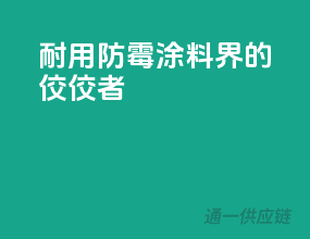 耐用防霉，涂料界的佼佼者