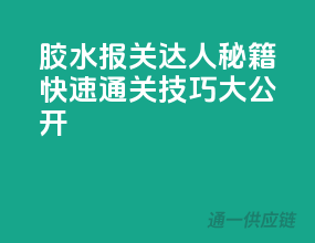胶水报关达人秘籍，快速通关技巧大公开