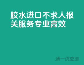 胶水进口不求人，报关服务专业高效