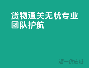 货物通关无忧，专业团队护航
