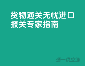 货物通关无忧：进口报关专家指南