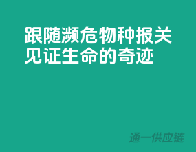跟随濒危物种报关，见证生命的奇迹