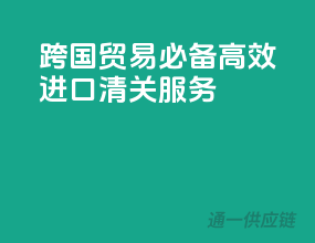 跨国贸易必备，高效进口清关服务