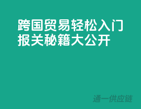 跨国贸易轻松入门，报关秘籍大公开！