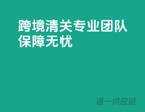 跨境清关，专业团队保障无忧