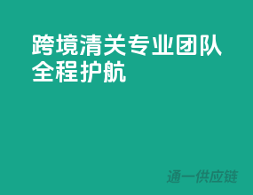 跨境清关，专业团队全程护航