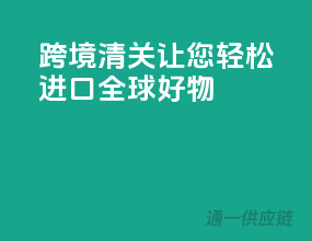跨境清关，让您轻松进口全球好物
