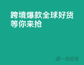 跨境爆款，全球好货等你来抢