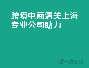 跨境电商清关，上海专业公司助力