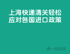 上海快递清关，轻松应对各国进口政策