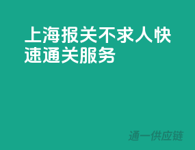 上海报关不求人，快速通关服务
