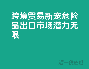 跨境贸易新宠：危险品出口市场潜力无限