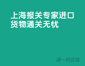 上海报关专家，进口货物通关无忧